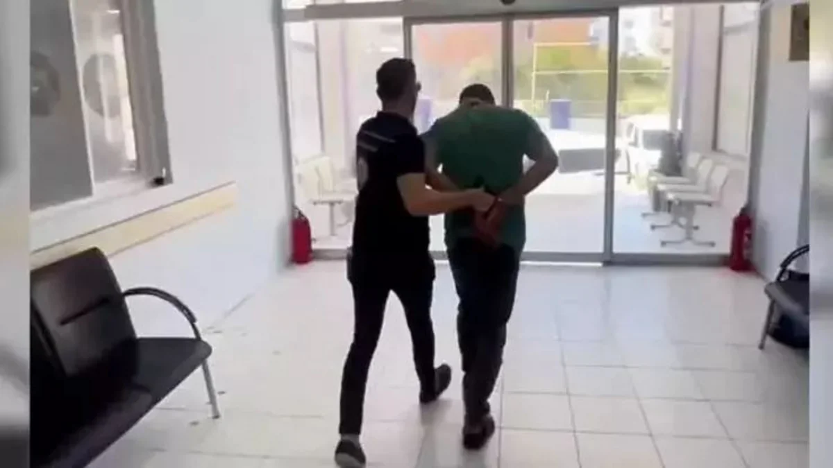Türkiyədə miqrant qaçaqmalçılığına qarşı əməliyyat keçirilib, 273 nəfər saxlanılıb