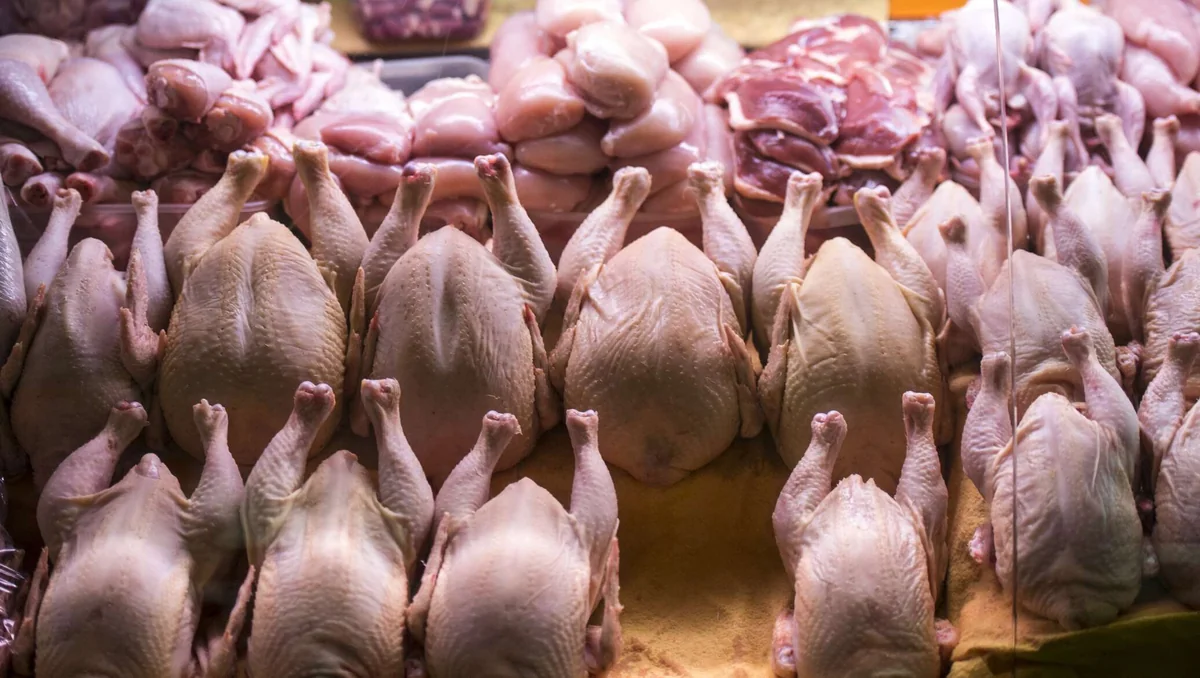 Азербайджан ограничил ввоз продукции из птичьего мяса пяти зарубежных компаний