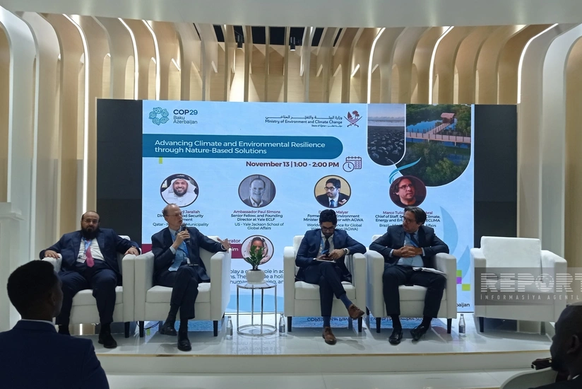 ECLF: Ənənəvi mühəndislik həllərindən təbiətə əsaslanan yanaşmalara keçid vacibdir