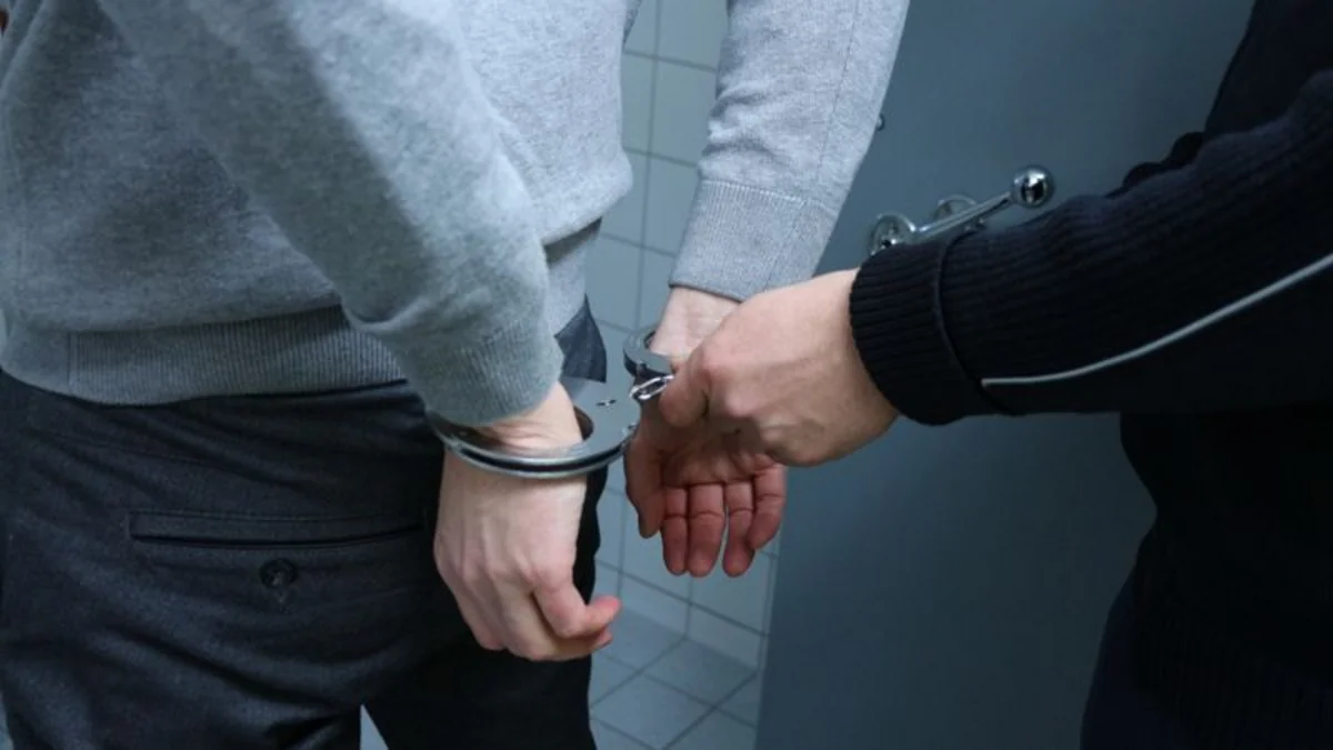 Директора работавшего в гимназии в Брянске ЧОП арестовали на два месяца