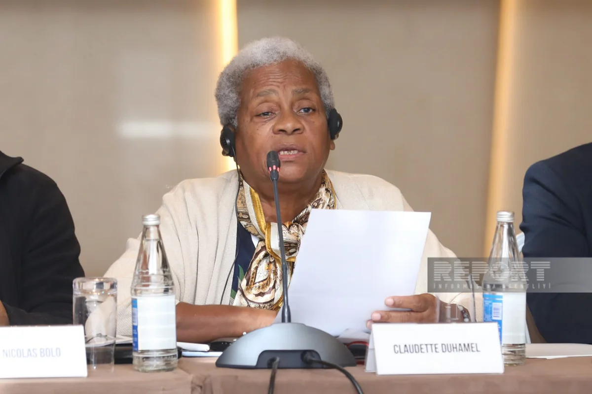 Duhamel: 'France kills our population and settles French people instead'