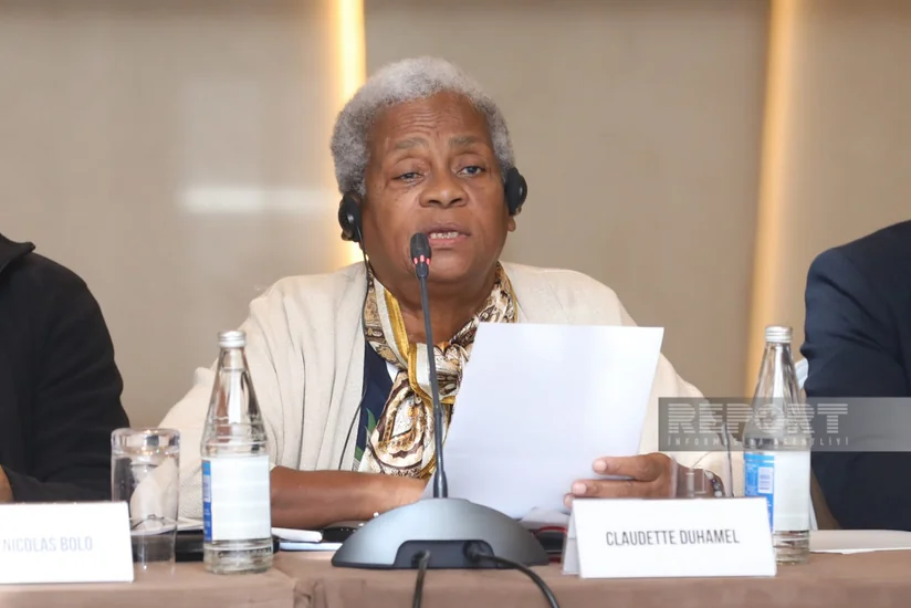 Duhamel: 'France kills our population and settles French people instead'