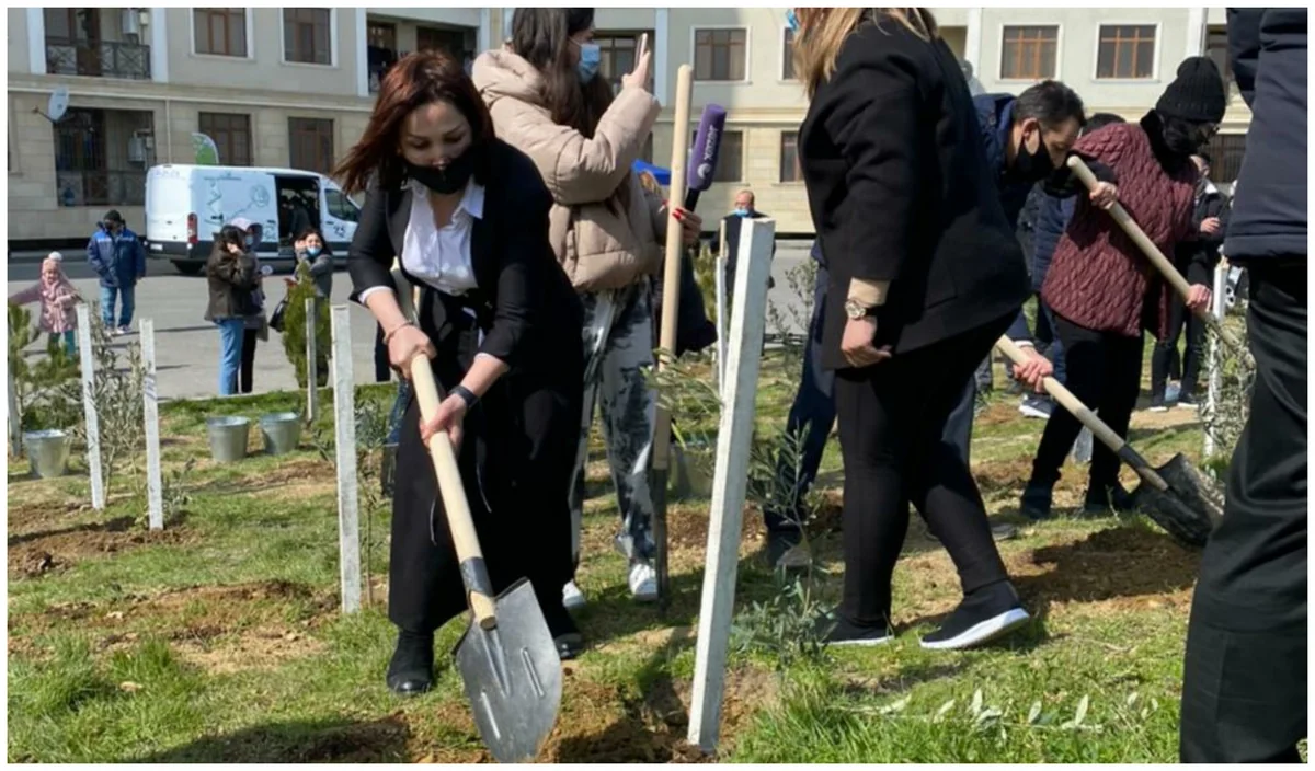 ETSN rəsmisi: Ağac əkmək istəyənlərin sayı günbəgün çoxalır