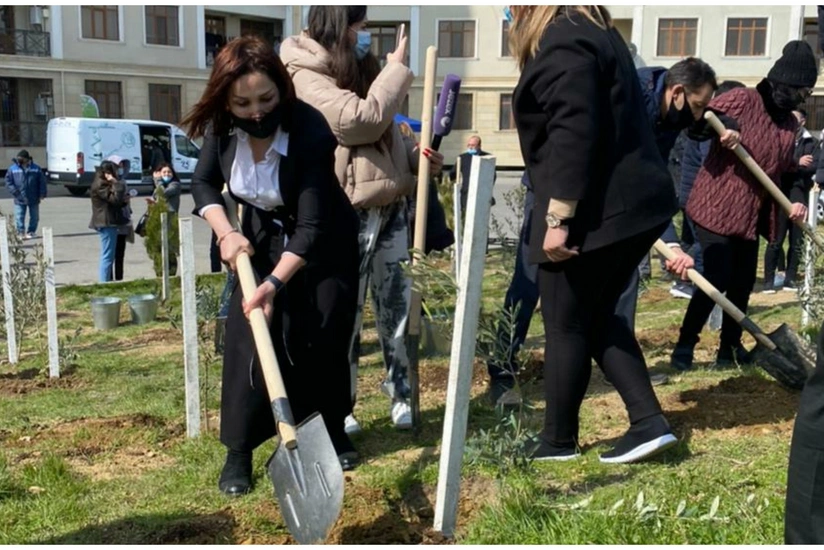 ETSN rəsmisi: Ağac əkmək istəyənlərin sayı günbəgün çoxalır