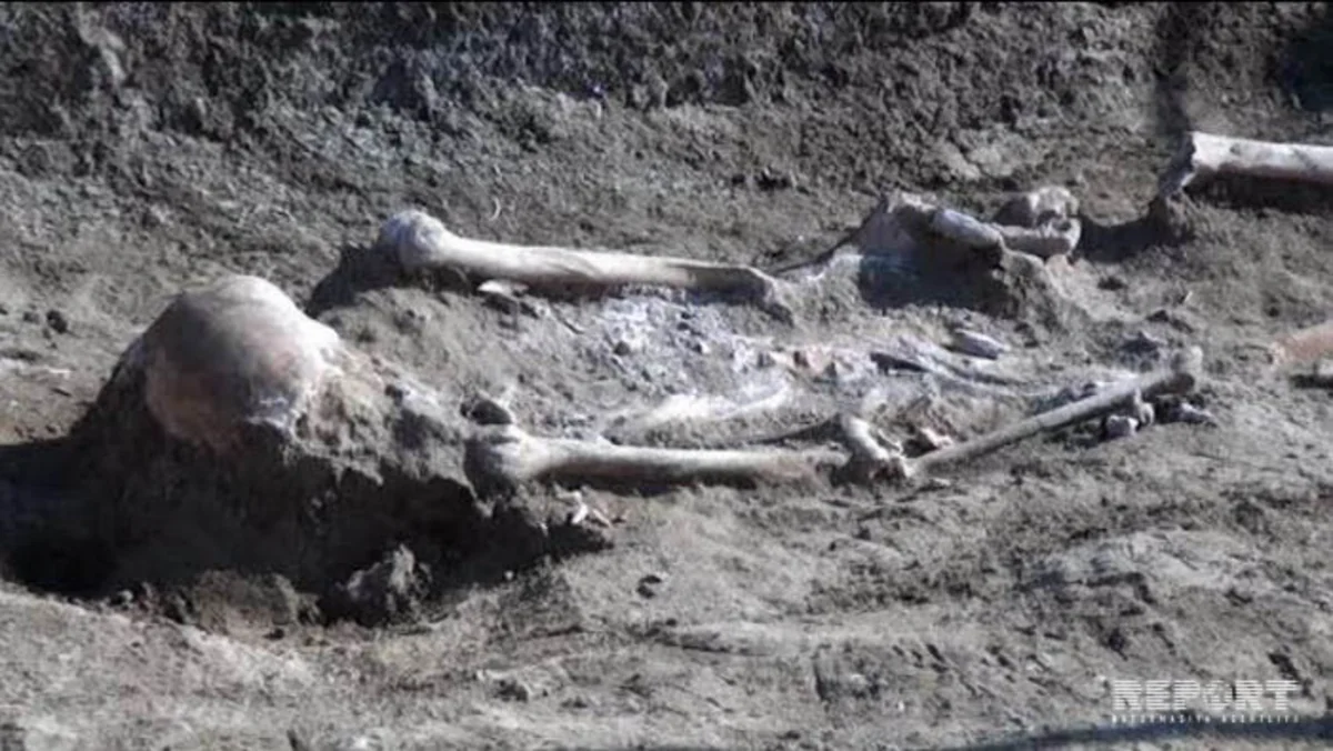 В Имишли обнаружено место древнего поселения, имеющее 2500-летнюю историю