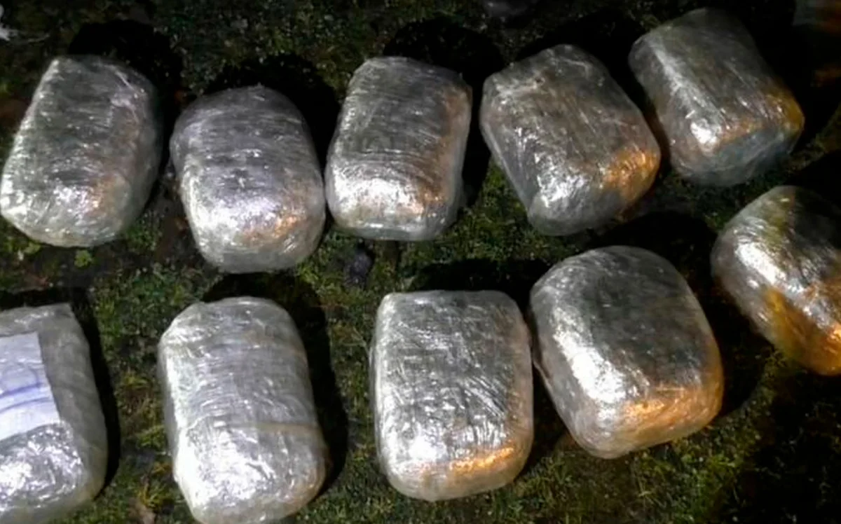 Ötən gün 48 kiloqramdan çox narkotik vasitə aşkar olunub
