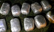 Полиция Азербайджана изъяла из незаконного оборота свыше 48 кг наркотиков за сутки