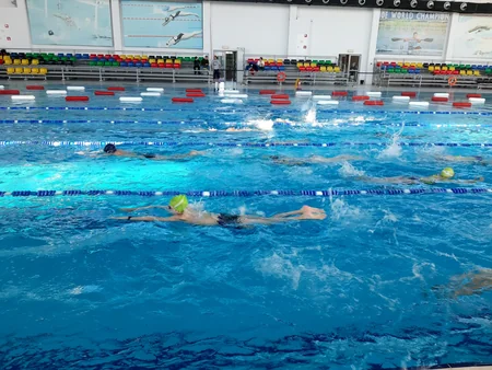 Üzgüçülük üzrə Azərbaycan millisinin heyəti test yarışları ilə müəyyənləşəcək