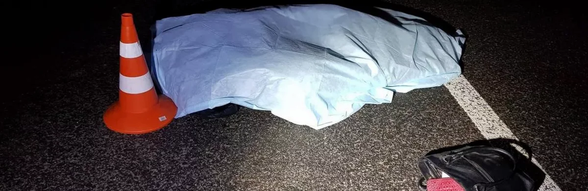 Sabirabadda yol-nəqliyyat hadisəsində ölən qadının kimliyi məlum olub - YENİLƏNİB