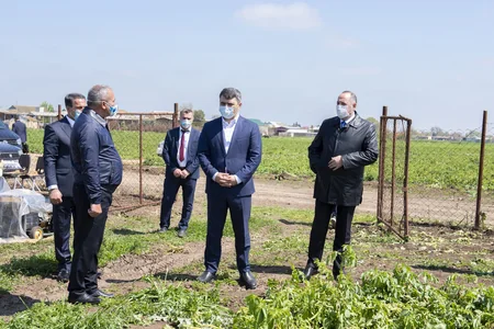 Azərbaycanda  pambıq  səpininə başlanılıb