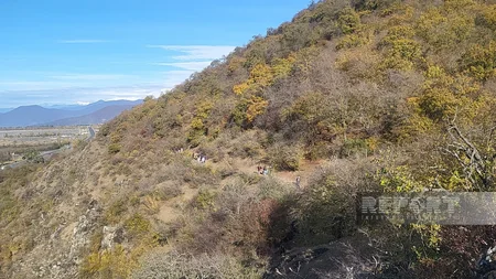 Qaxda Kürmükoba bayramı qeyd edilib