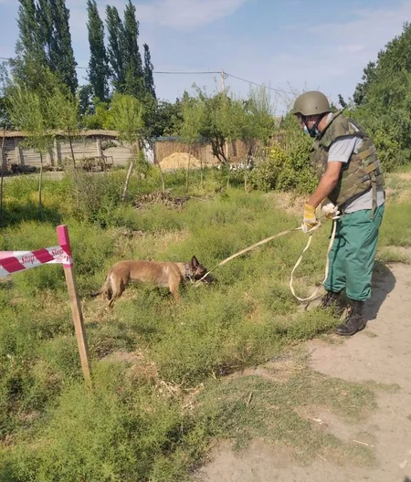 Füzuli rayonunda əl qumbarası aşkarlandı