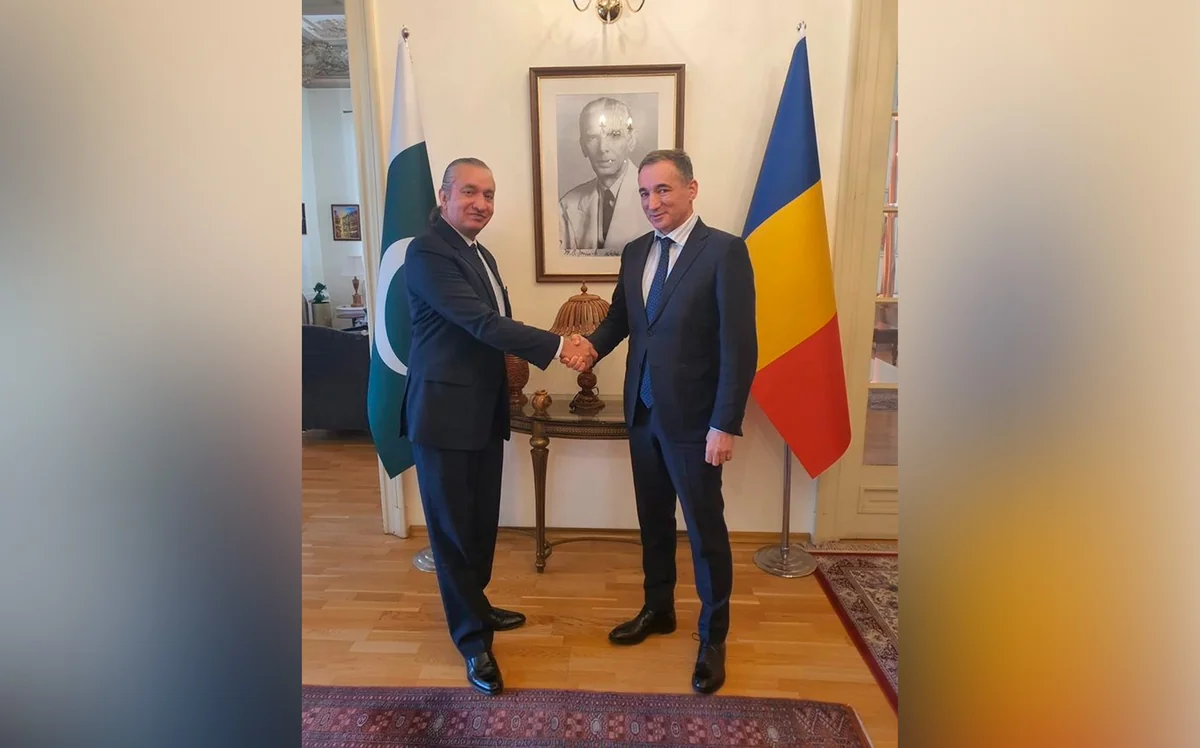 Azerbaijani, Pakistani ambassadors to Romania meet