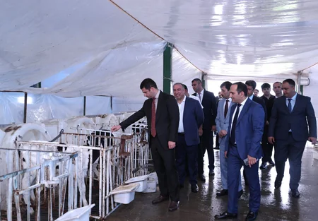 KOBİA обсудила с предпринимателями в Агджабеди развитие малого и среднего бизнеса