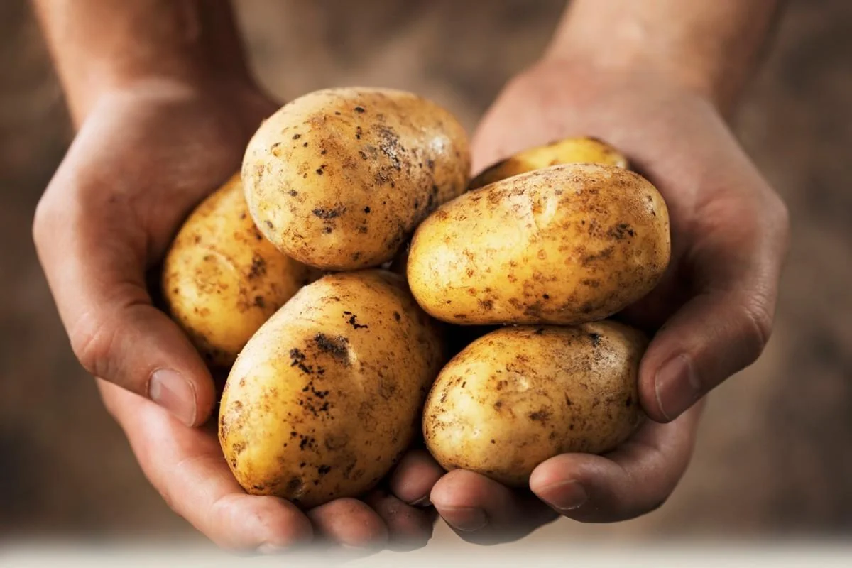 Azerbaijan increases potato purchases from Georgia by 12 times