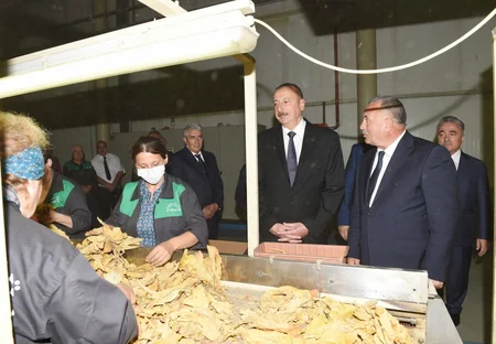 President Ilham Aliyev views tobacco processing plant in Zagatala