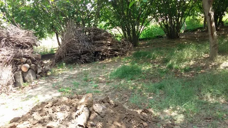 ​Ağdam və Tərtərdə partlamamış hərbi sursatlar aşkarlanıb