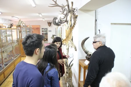 Məktəblilər Binəqədidə qazıntı zamanı kərgədan sümükləri aşkarlayıblar