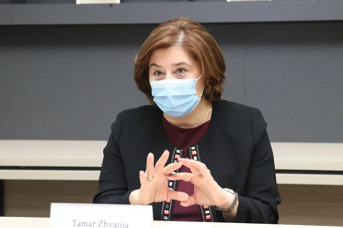 Gürcüstan MSK-nın sədri istefa verdi