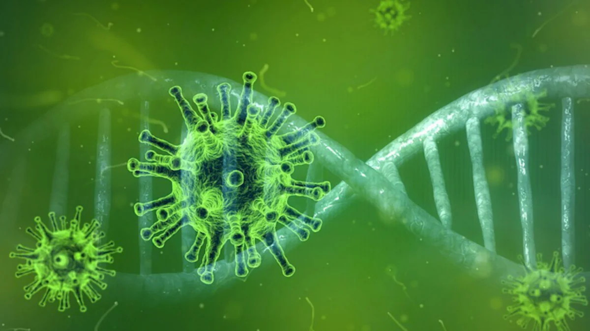 US intends to find out COVID origin