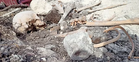 Fərruxda qazıntılar zamanı daha bir neçə azərbaycanlının meyitlərinin qalıqları tapılıb