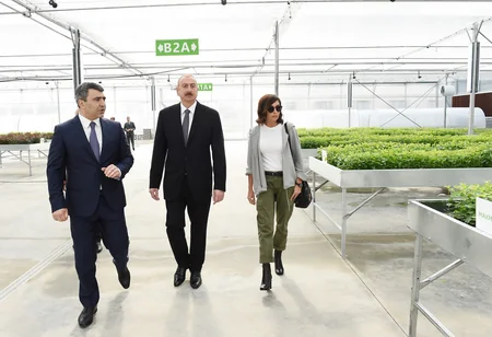 Prezident İlham Əliyev Qubada Meyvəçilik və Çayçılıq Elmi-Tədqiqat İnstitutunun tingçilik müəssisəsi ilə tanış olub - YENİLƏNİB