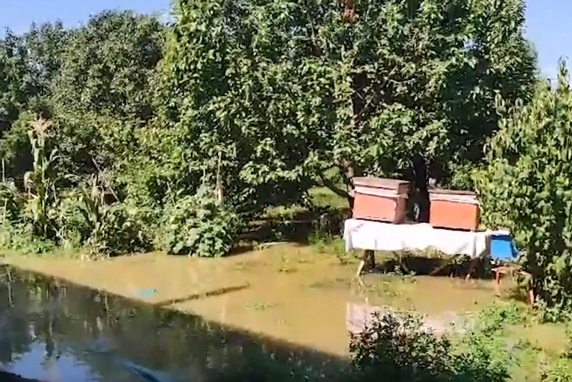 В Самухе в результате сильных дождей затоплены дома