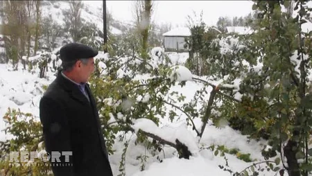 Cəlilabadda güclü qar fərdi təsərrüfatlara, elektrik və rabitə dirəklərinə ziyan vurub - FOTO