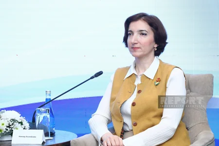 Bakıda məişət zorakılığı ilə bağlı beynəlxalq konfrans keçirilib