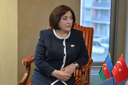 Azərbaycan və Türkiyənin parlament sədrləri ikitərəfli əlaqələri müzakirə ediblər