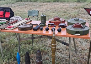 Over 37,000 hectares cleared of mines in Azerbaijan's Aghdam