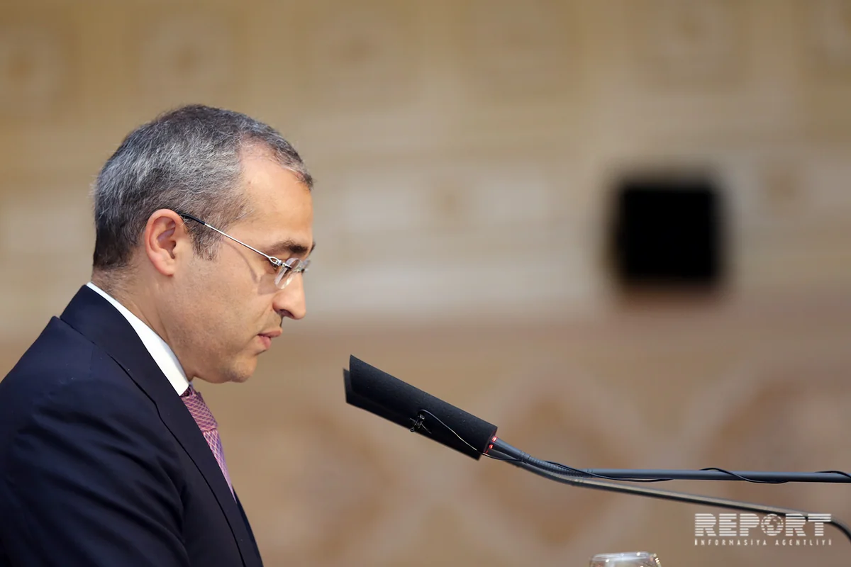 Nazir: Dissertasiyaları vaxtında müdafiə edənlərin azlığı narahatlıq doğuran məsələdir