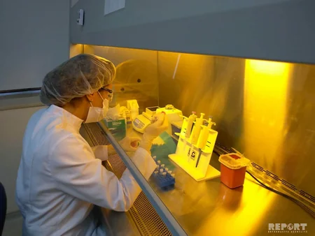 Qida Təhlükəsizliyi İnstitutunun Kompleks Tədqiqatlar Laboratoriyasına infotur təşkil olunub - FOTO