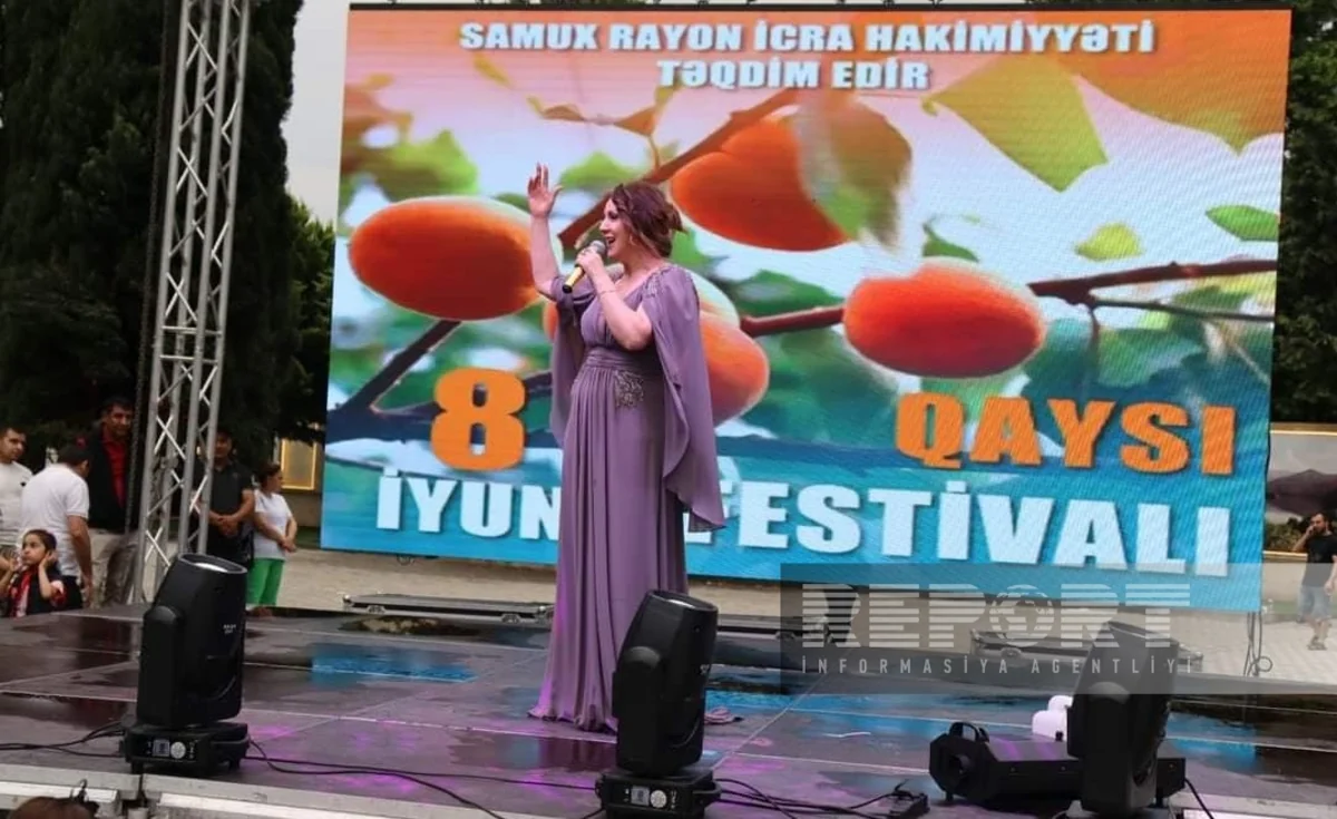 Azərbaycanda ilk dəfə Ərik Festivalı keçirilib