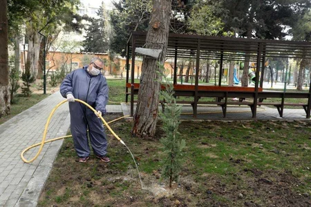 Daha 2 min nəfər ödənişli ictimai işlərə cəlb olundu