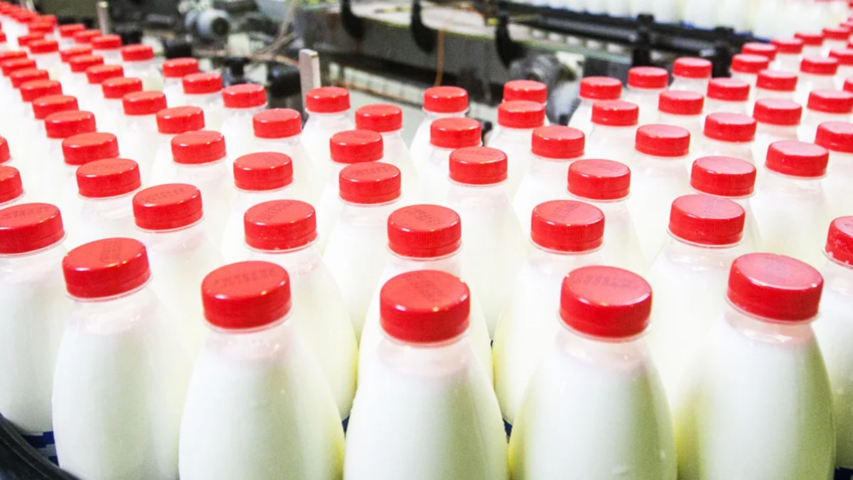 Россия полностью запретила ввоз белорусского молока и молпродукции
