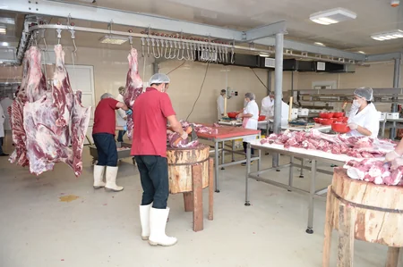 Heydər Əliyev Fondu Qurban bayramı münasibəti ilə aztəminatlı ailələrə qurban payları verib