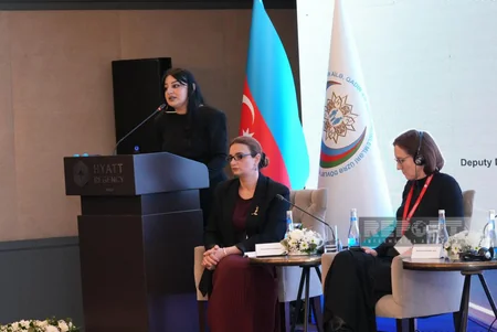 International conference on domestic violence continues in Baku