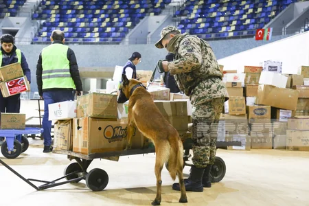 Zəlzələdən sonra Bakıdan Türkiyəyə 127 TIR humanitar yardım göndərilib