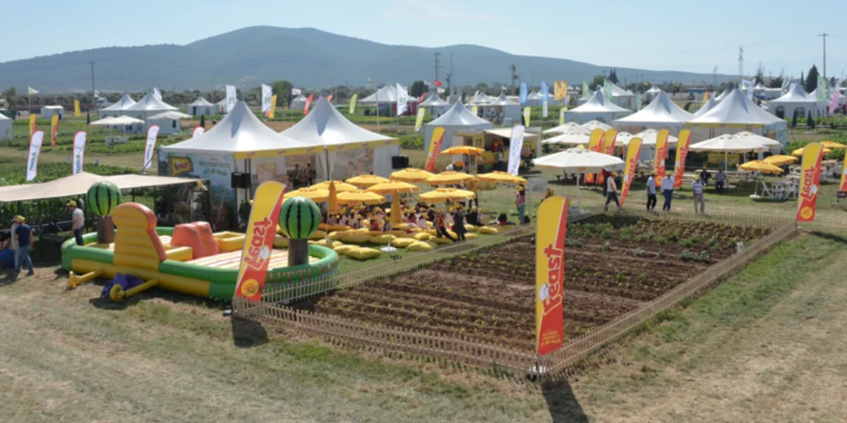 Qəbələdə Tarla günləri keçiriləcək