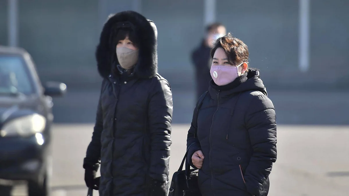Cənubi Koreyada koronavirusdan daha bir nəfər öldü