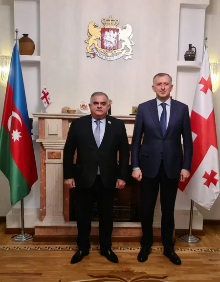 Gürcüstan səfiri Milli Məclisin deputatları ilə görüşüb