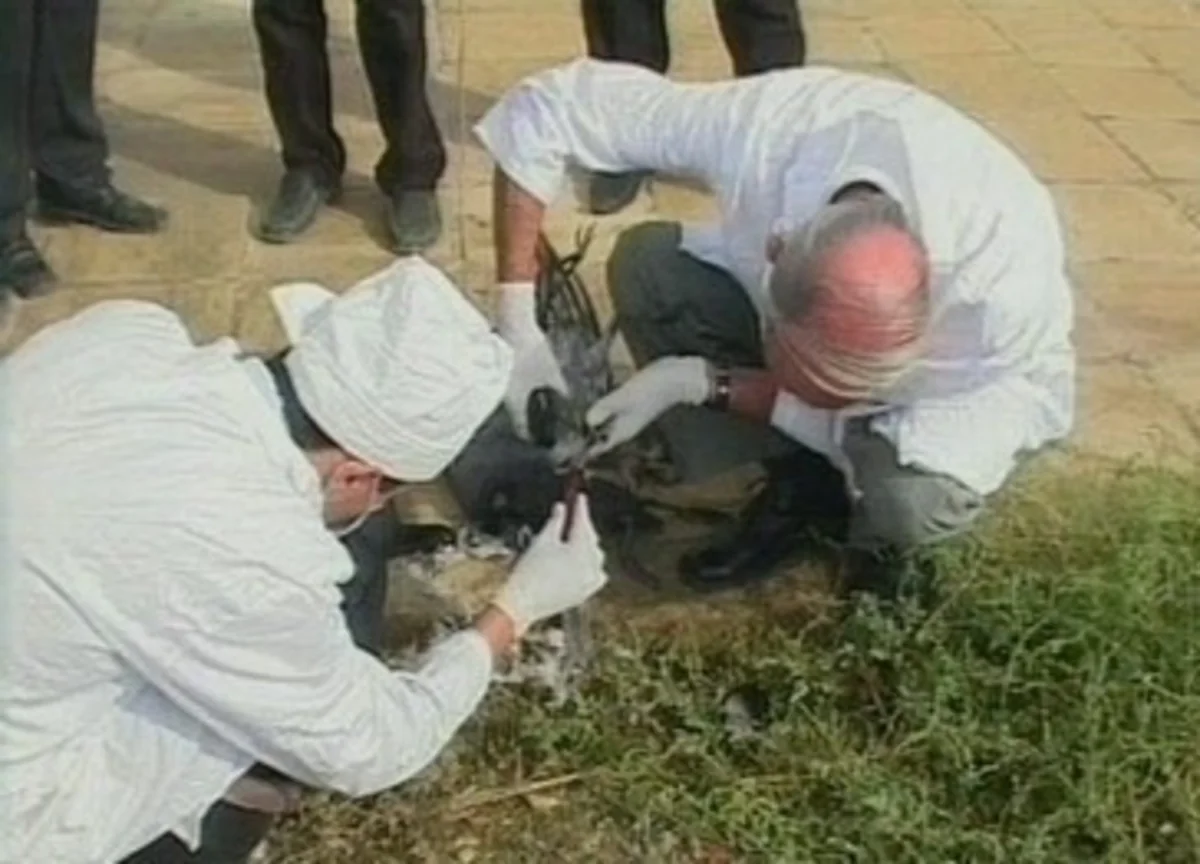 Azərbaycanda baytarlıq xidmətlərini həyata keçirən müəssisələrin özəlləşdirilməsinə icazə veriləcək