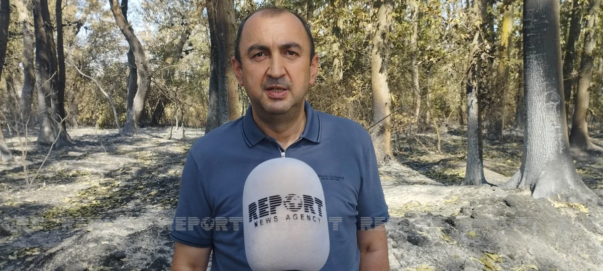 Nazir müavini: Şimal bölgəsindəki yanğının günahkarları cəzalandırılmalıdır 