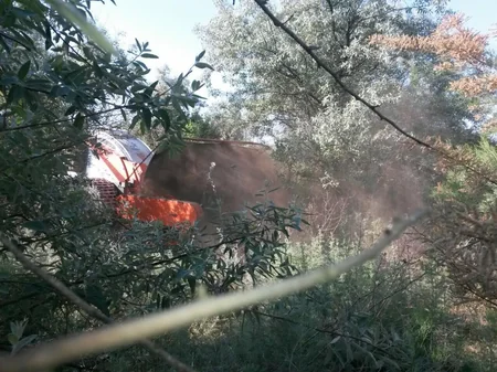 Cocuq Mərcanlıda 1063 ədəd qəlpə aşkarlanıb