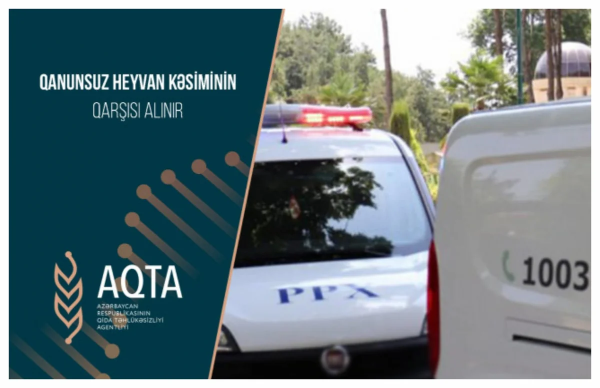 Bakı, Qax və Şamaxıda qanunsuz heyvan kəsimi məntəqələri cərimələnib