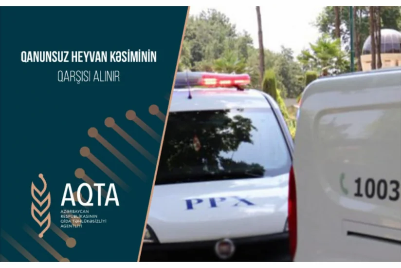 Bakı, Qax və Şamaxıda qanunsuz heyvan kəsimi məntəqələri cərimələnib