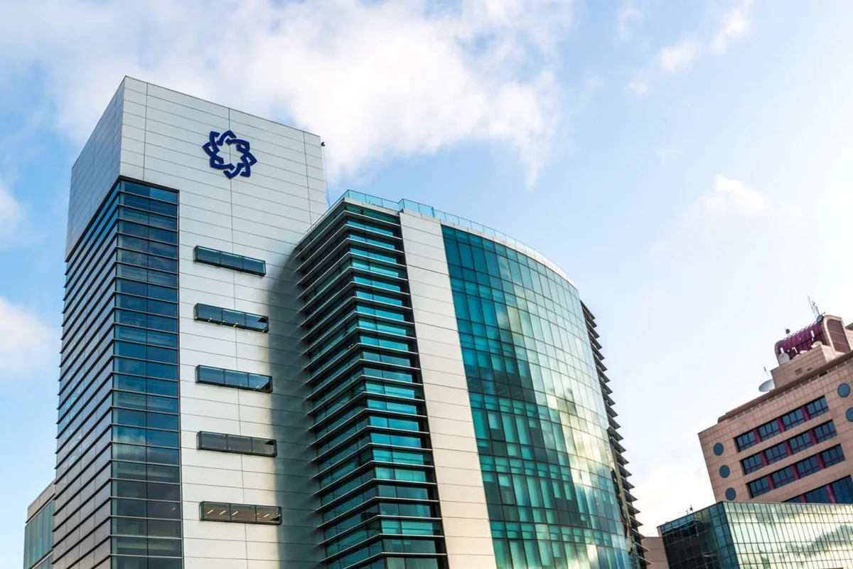 IBA owns 100% of its subsidiary in Georgia