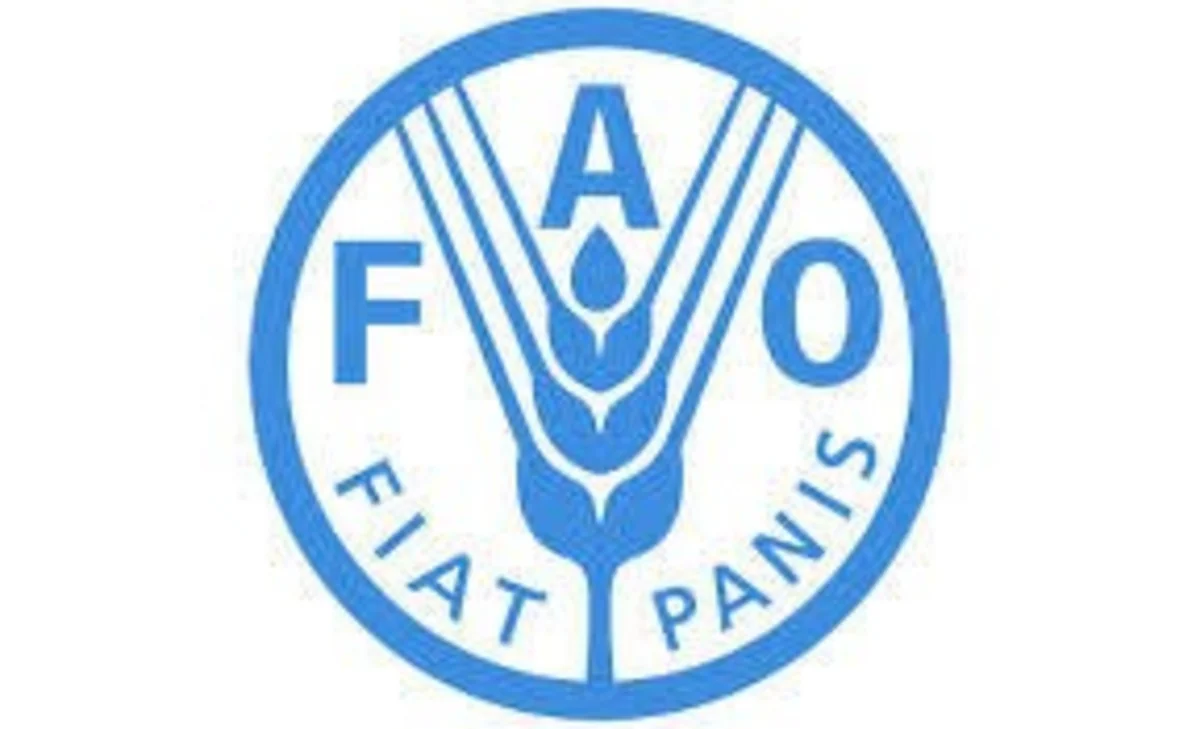 FAO Azərbaycanda heyvandarlıqla bağlı yeni layihənin icrasına başlayır - YENİLƏNİB