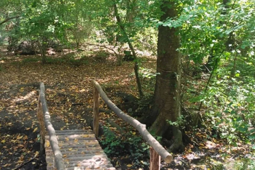 Azərbaycanla KfW bankı arasında yardım müqaviləsinin müddəti artırılıb